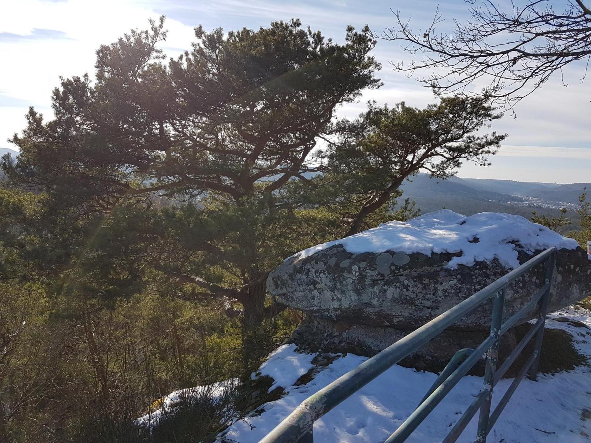 Ferienwohnung Waldliebe Hinterweidenthal Esterno foto