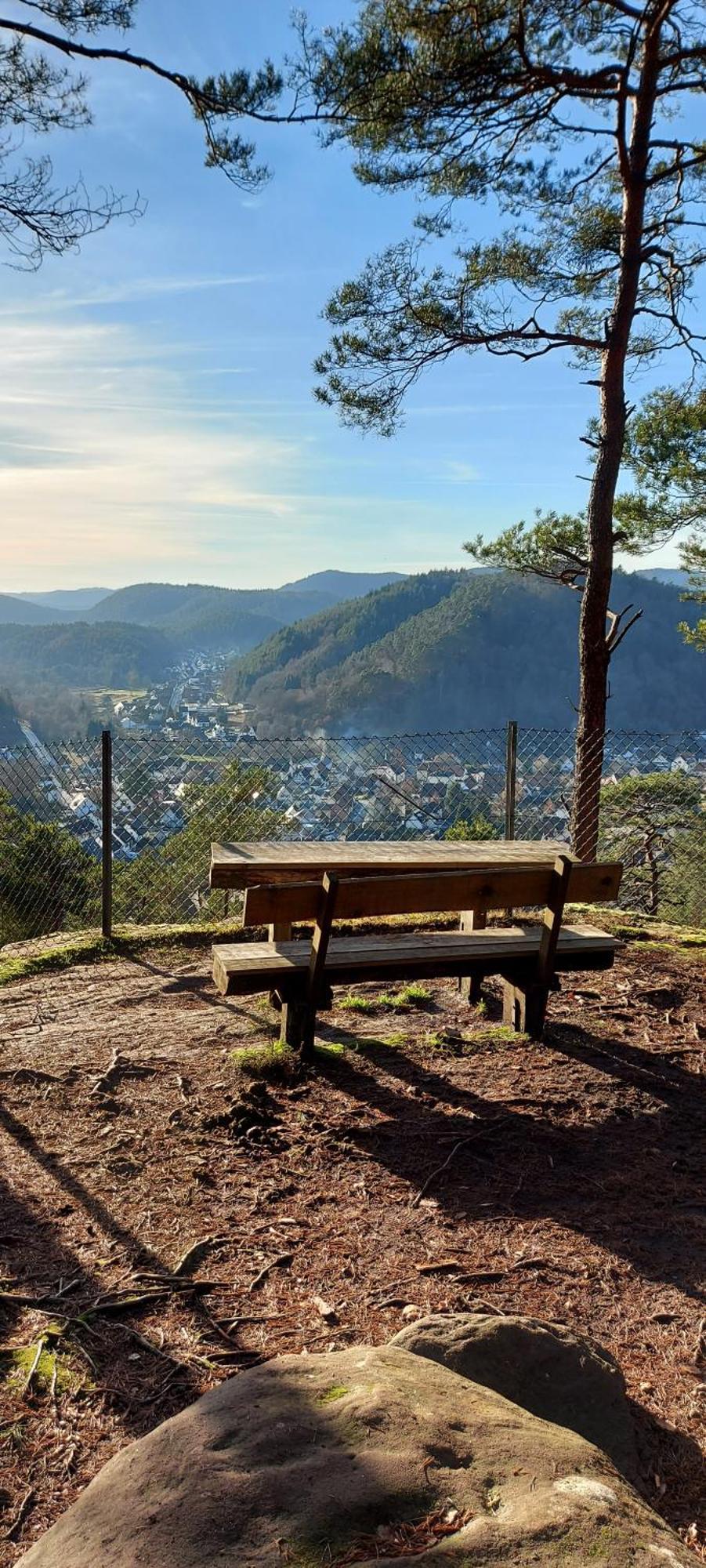 Ferienwohnung Waldliebe Hinterweidenthal Esterno foto
